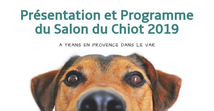 Salon Du Chiot