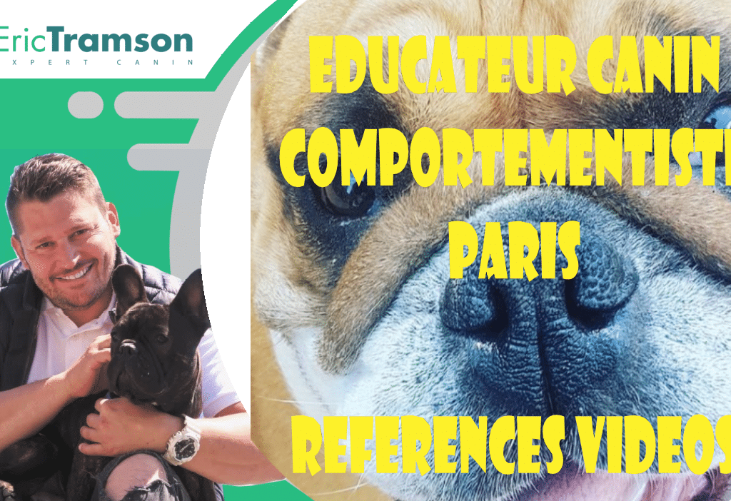 educateur canin comportementaliste parisien