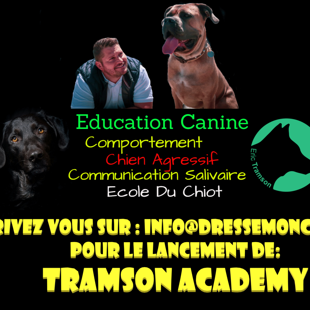 formation en ligne educateur canin